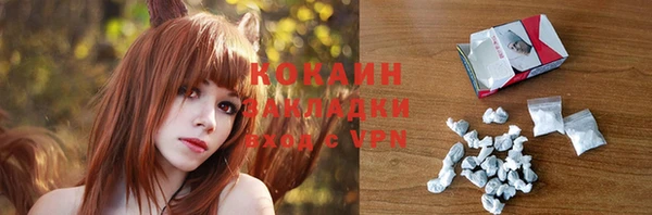 PSILOCYBIN Майский