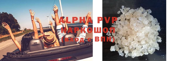 стаф Магадан