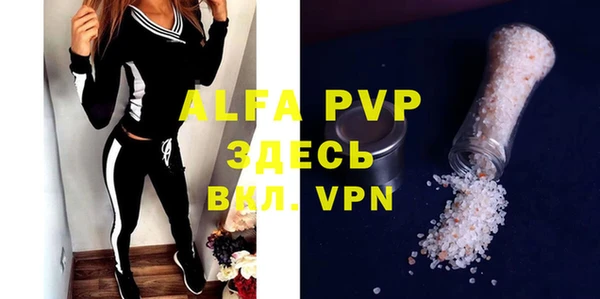 PSILOCYBIN Майский