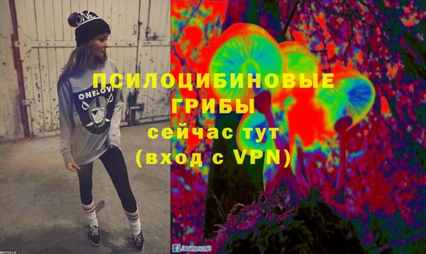 стаф Магадан