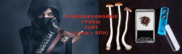 стаф Магадан