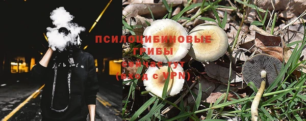 a pvp Магас