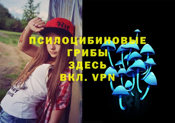 a pvp Магас