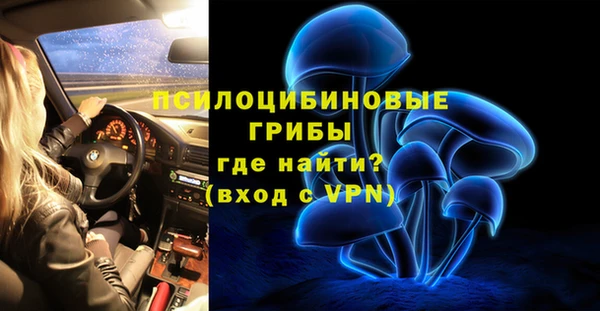 PSILOCYBIN Майский