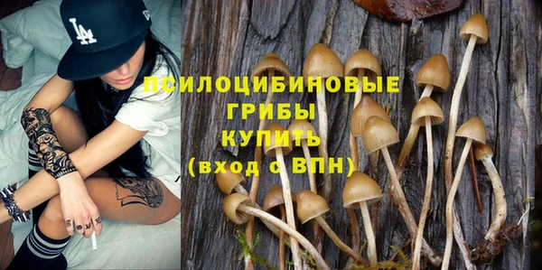 a pvp Магас