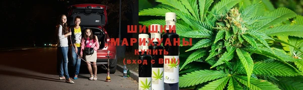 a pvp Магас